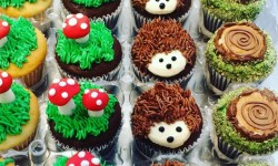 forest-cupcakes